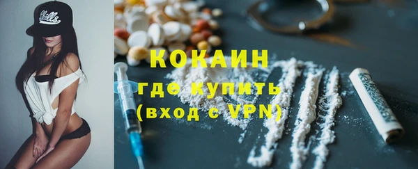 соль ск Михайлов