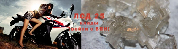 ПСИЛОЦИБИНОВЫЕ ГРИБЫ Анжеро-Судженск