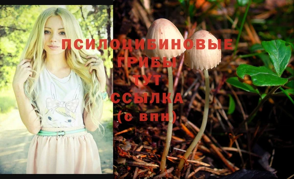 соль ск Михайлов
