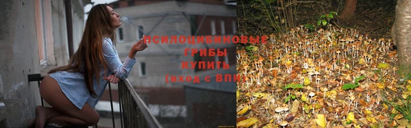 соль ск Михайлов