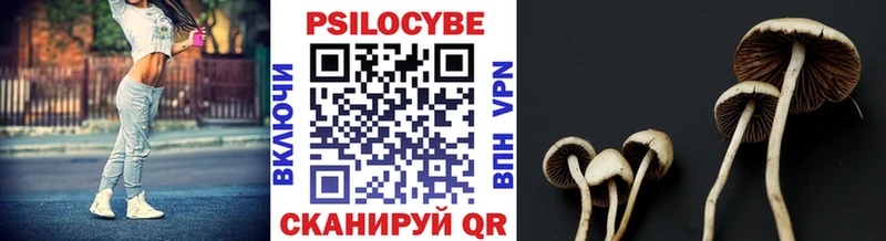 Галлюциногенные грибы Psilocybe  kraken как войти  Дюртюли 