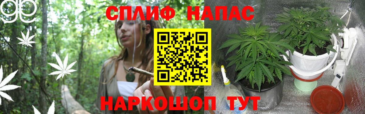 Каннабис конопля Дюртюли